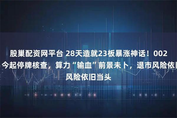股巢配资网平台 28天造就23板暴涨神话！002713，今起停牌核查，算力“输血”前景未卜，退市风险依旧当头