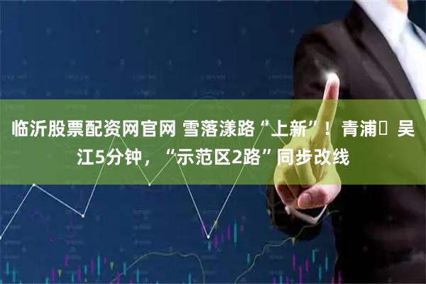 临沂股票配资网官网 雪落漾路“上新”！青浦⇋吴江5分钟，“示范区2路”同步改线