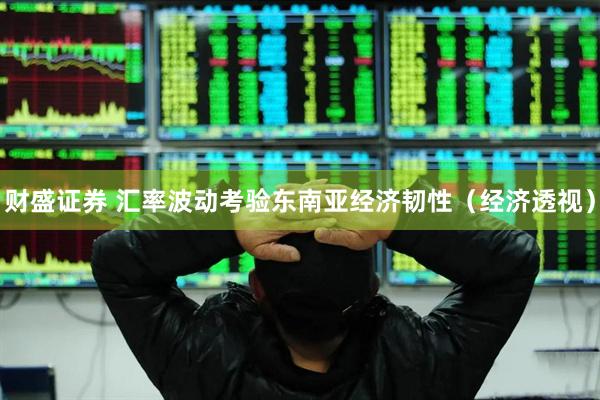 财盛证券 汇率波动考验东南亚经济韧性（经济透视）